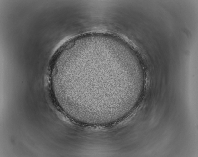 X0000112001400200908311105