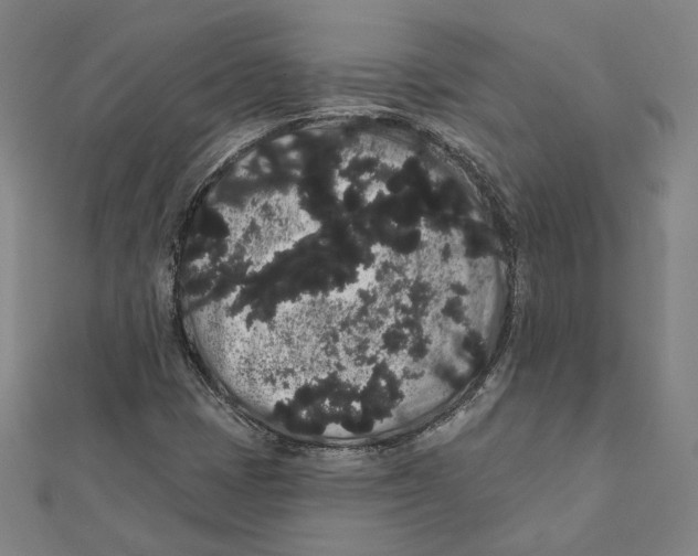 X0000112001401200908311105