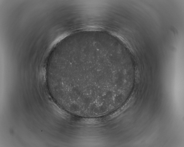 X0000112001402200908311105