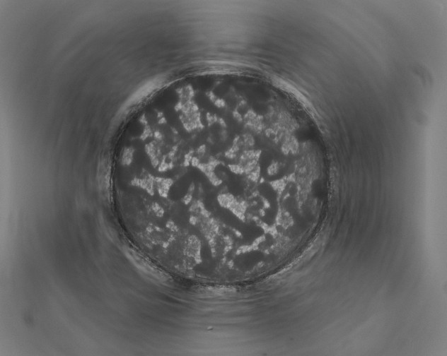 X0000112001403200908311105