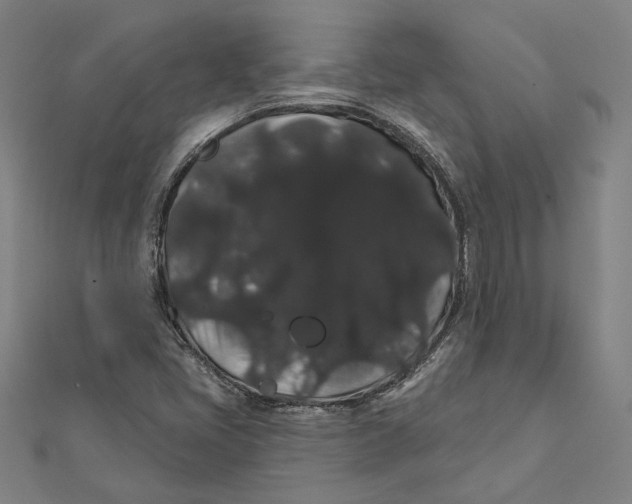 X0000112001405200908311105