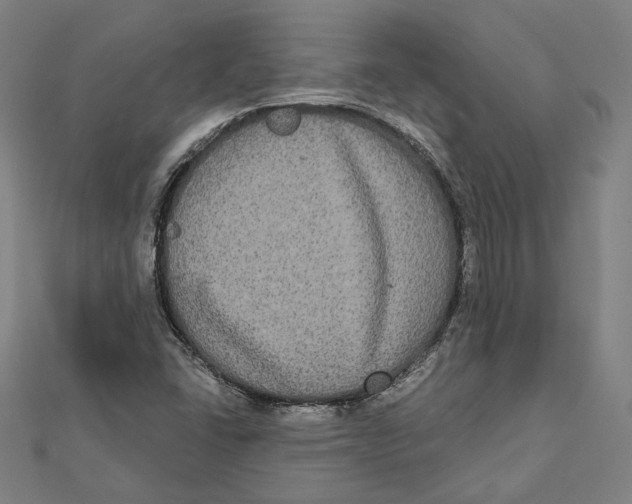 X0000112001406200908311105