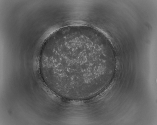 X0000112001407200908311105