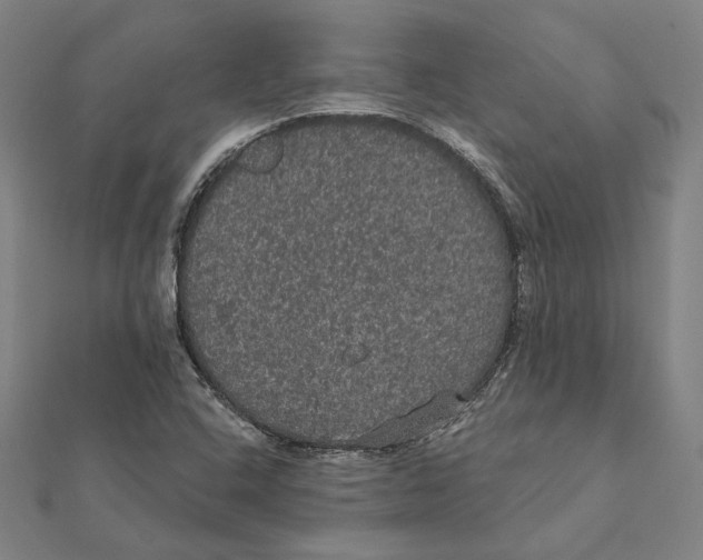 X0000112001408200908311105