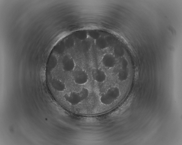 X0000112001409200908311105