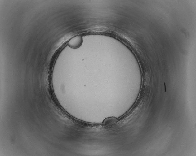 X0000112001410200908311105