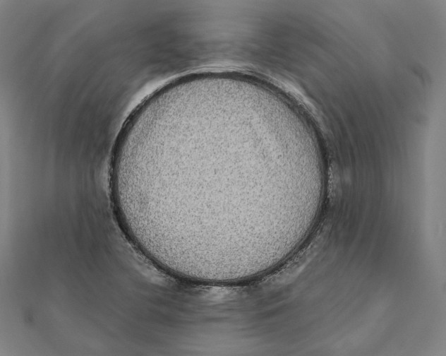 X0000112001412200908311105