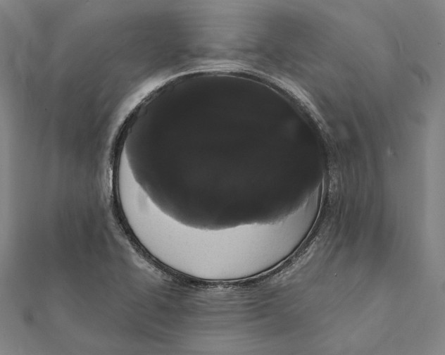 X0000112001414200908311105