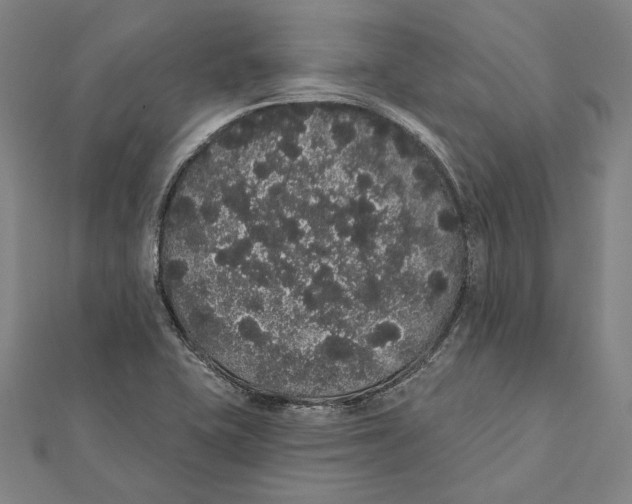 X0000112001415200908311105