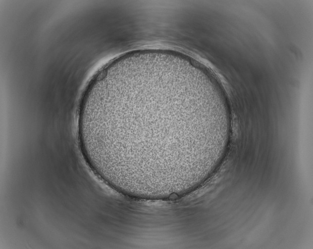 X0000112001416200908311105