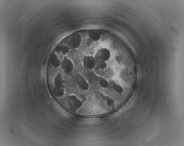 X0000112001417200908311105