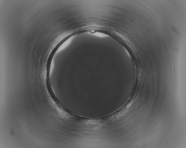 X0000112001418200908311105