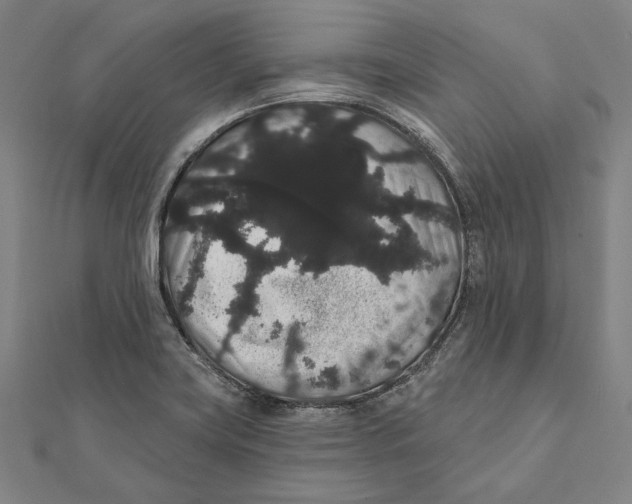 X0000112001419200908311105