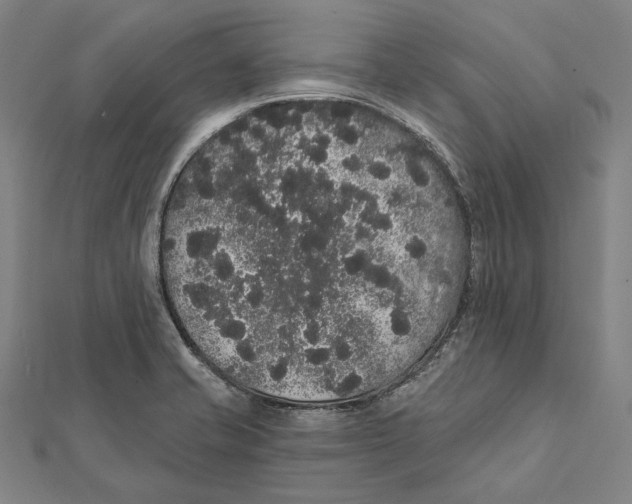 X0000112001421200908311105