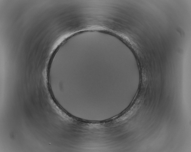 X0000112001422200908311105