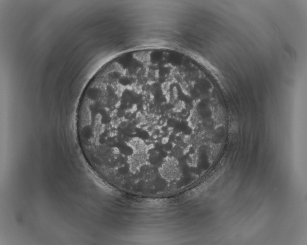 X0000112001423200908311105