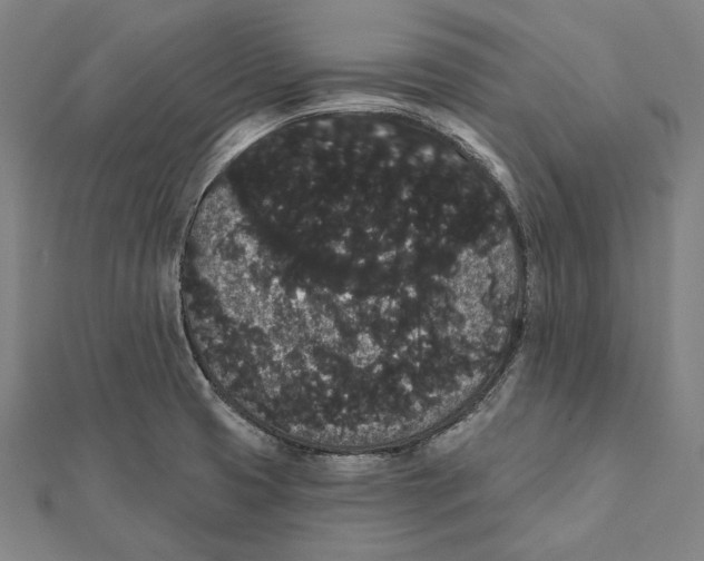 X0000112001425200908311105