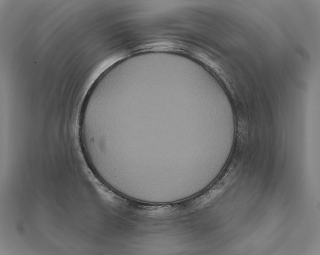 X0000112001426200908311105