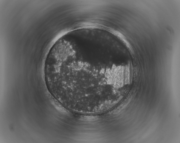 X0000112001427200908311105