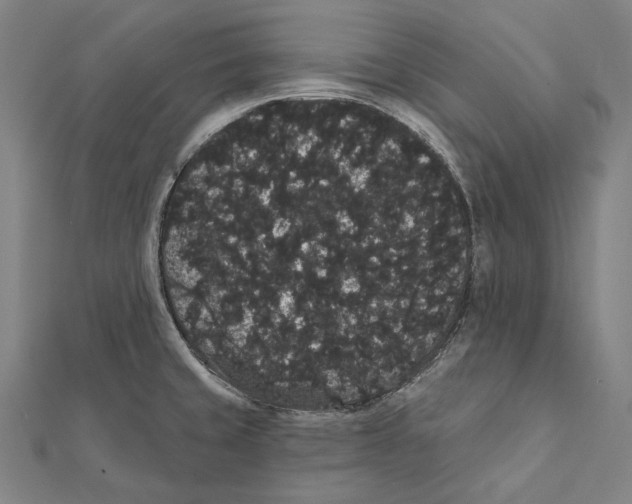 X0000112001429200908311105