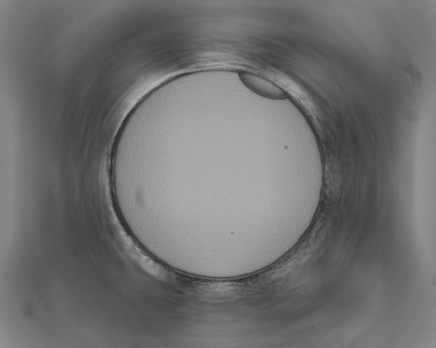 X0000112001431200908311105