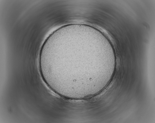 X0000112001432200908311105