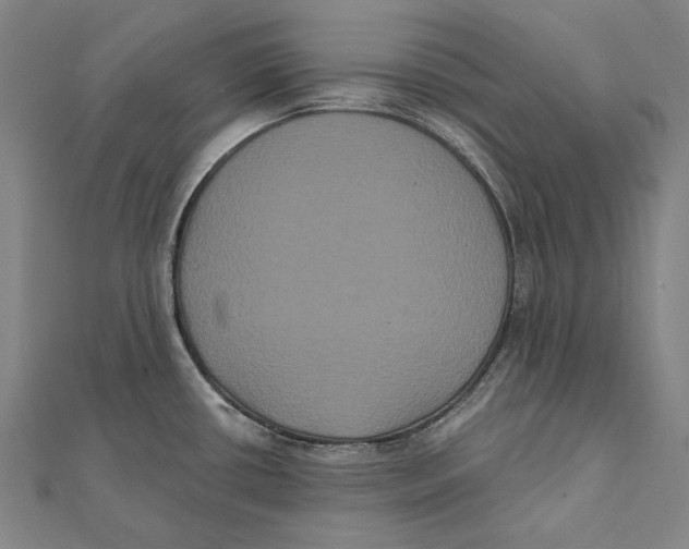 X0000112001434200908311105