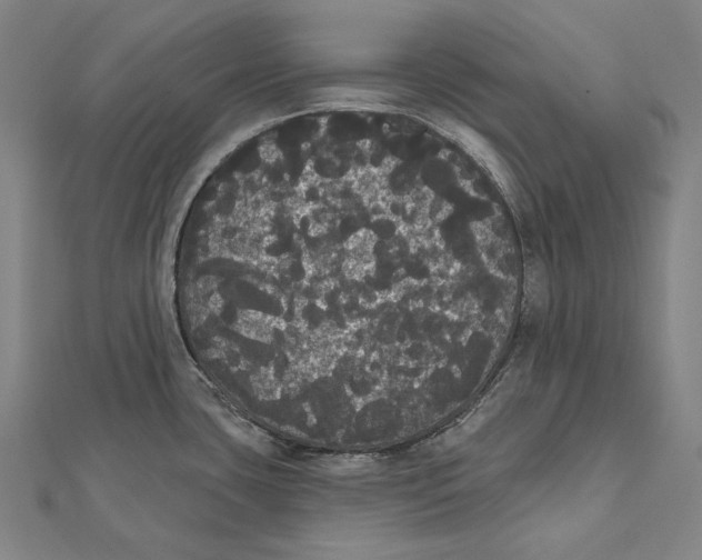 X0000112001435200908311105