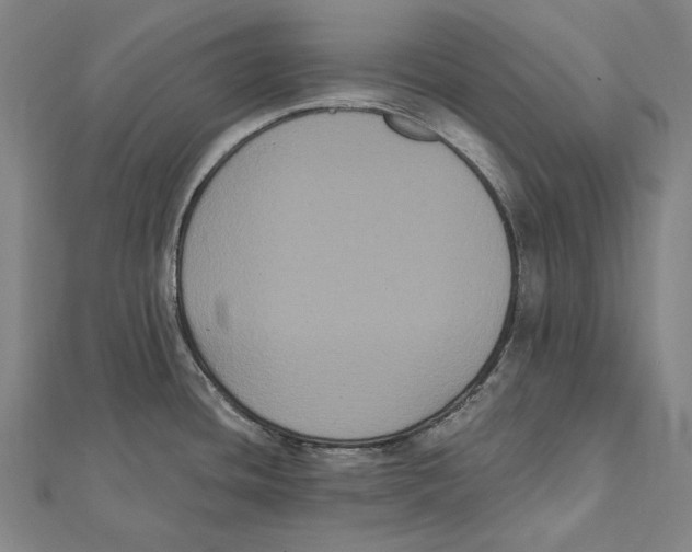 X0000112001436200908311105