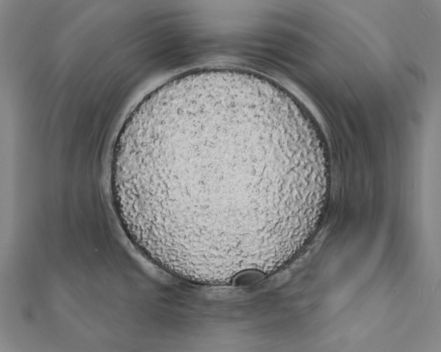 X0000112001437200908311105