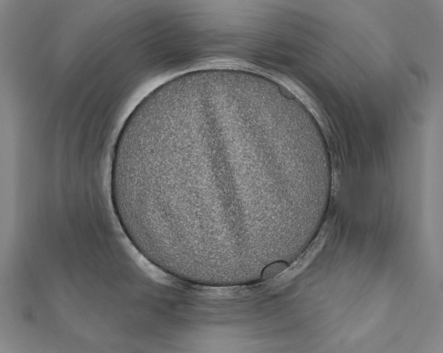 X0000112001438200908311105