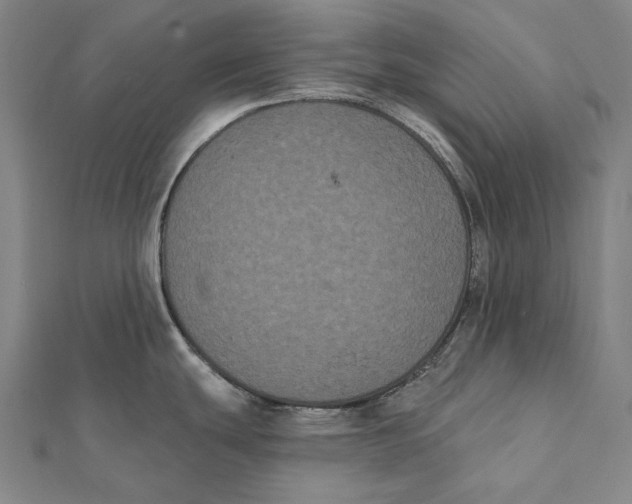 X0000112001439200908311105