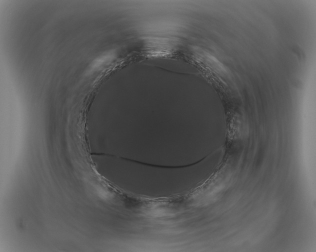 X0000112001441200908311104