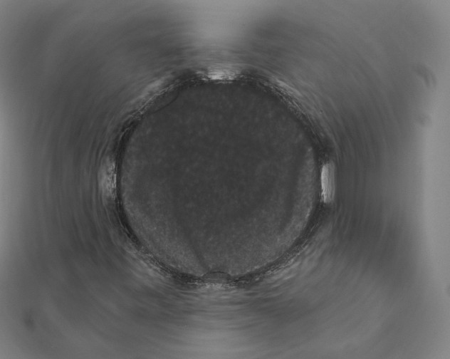 X0000112001443200908311104