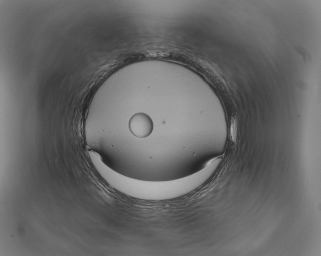 X0000112001444200908311104