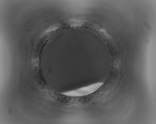 X0000112001445200908311104