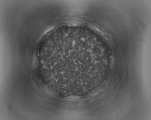 X0000112001446200908311104