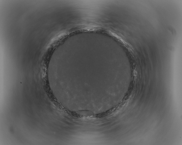 X0000112001447200908311104