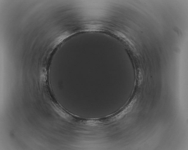 X0000112001449200908311104