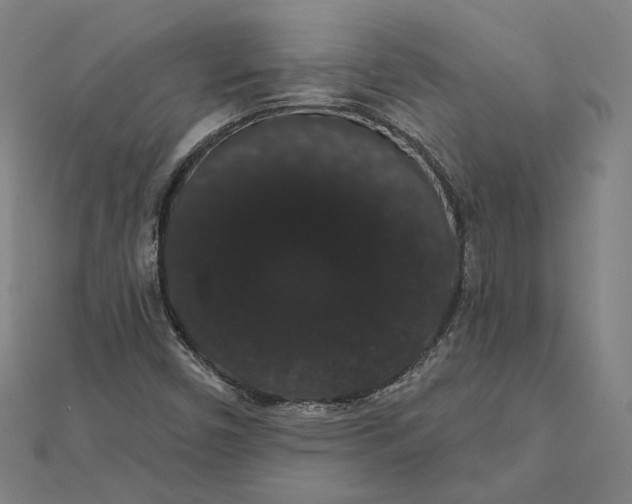 X0000112001450200908311104