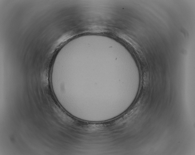 X0000112001451200908311104