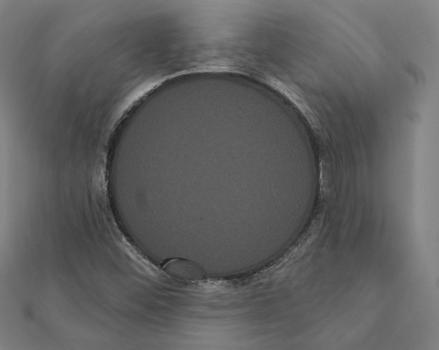 X0000112001452200908311104