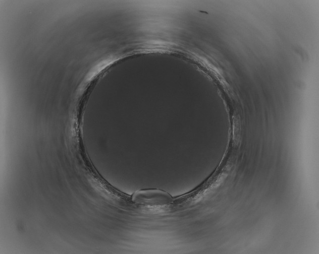 X0000112001453200908311104