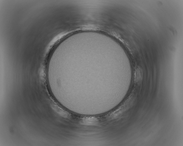 X0000112001454200908311104