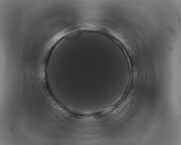 X0000112001455200908311104