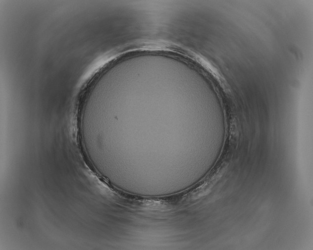 X0000112001456200908311104