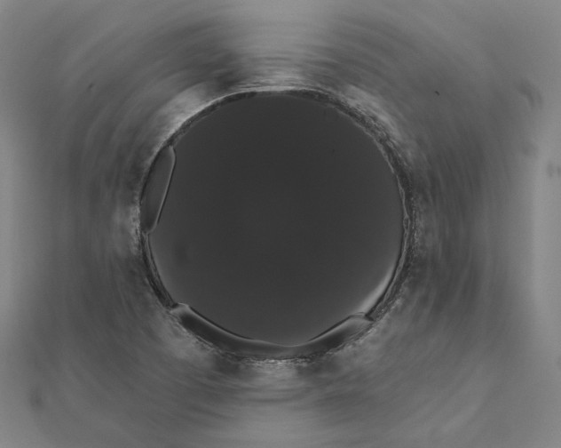 X0000112001457200908311104