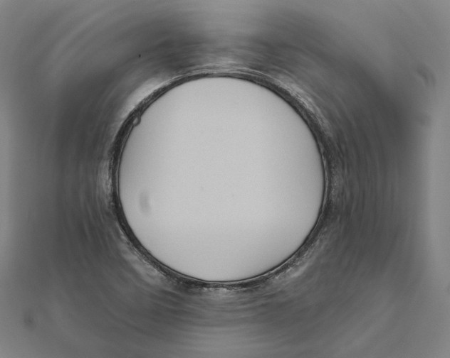 X0000112001458200908311104