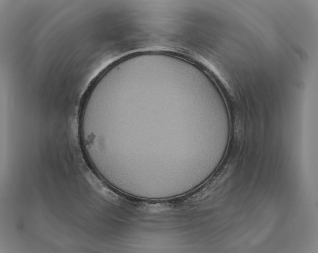 X0000112001460200908311104