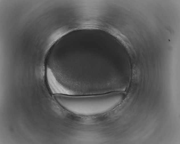 X0000112001461200908311104